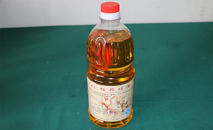 ĵ������