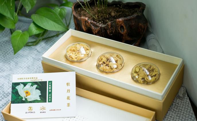 ĵ������