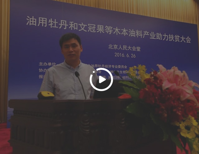 ����bevictorΰ��